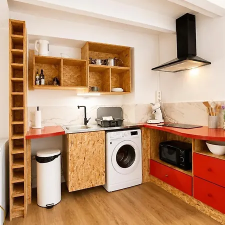 Le Duplex Saint Alban 公寓 罗阿纳