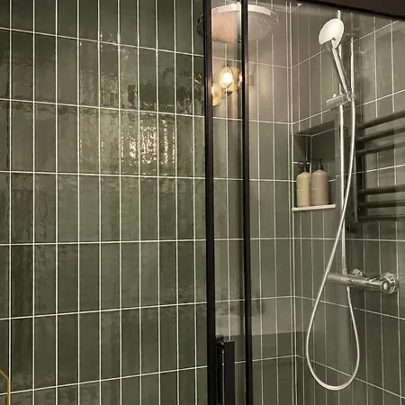 公寓 Le Duplex Saint Alban *