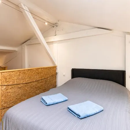 Le Duplex Saint Alban 公寓