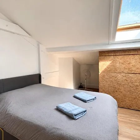 公寓 Le Duplex Saint Alban